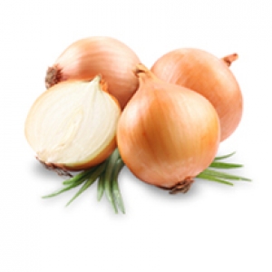 Onion