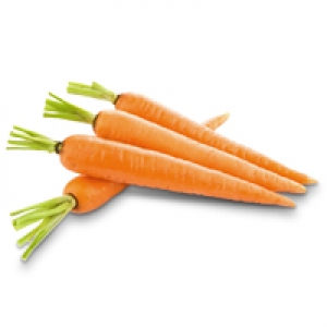 Carrot