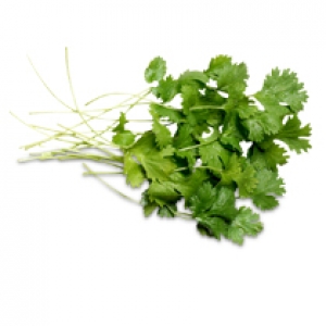 Coriander